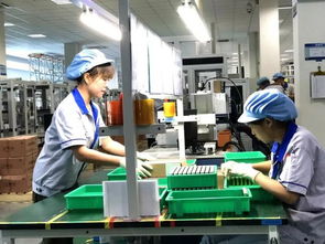 绿色制造新标杆 海曙牛企投入亿元自主研发，荣膺国家级“绿色工厂”