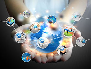 跨界风潮来袭 网络技术研发的“风口寻猪”之道